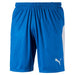 Puma Liga Shorts in electric blue lemonade