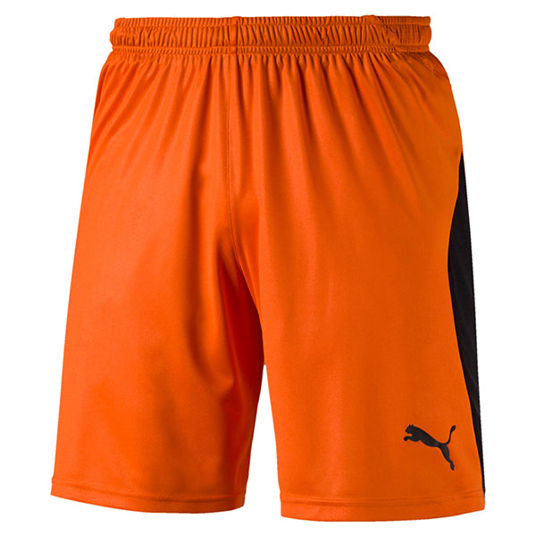 Puma Liga Shorts KitKing