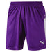 Puma Liga Shorts in prism violet