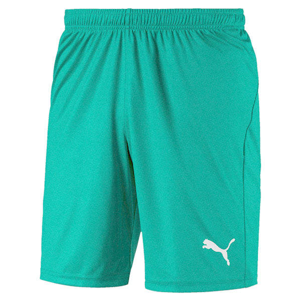 Puma Liga Shorts Core in pepper green