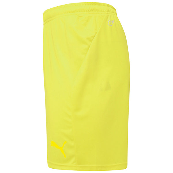 Puma TeamGOAL Shorts 21