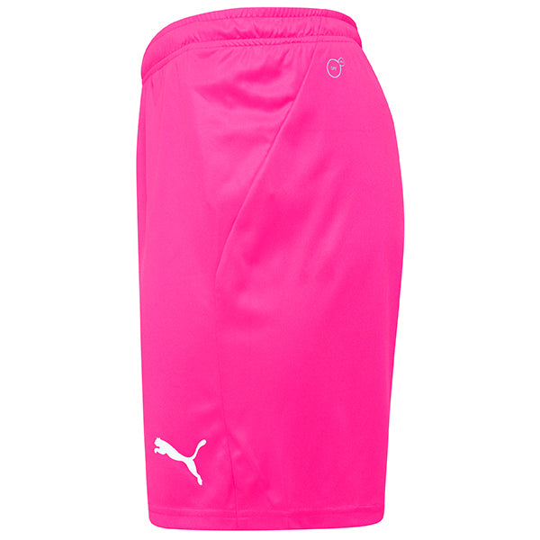 Puma TeamGOAL Shorts 21