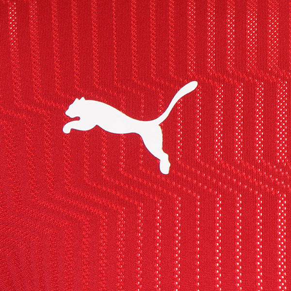 Puma TeamCUP Shirt 21