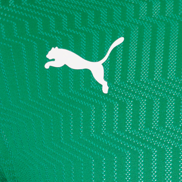 Puma TeamCUP Shirt 21