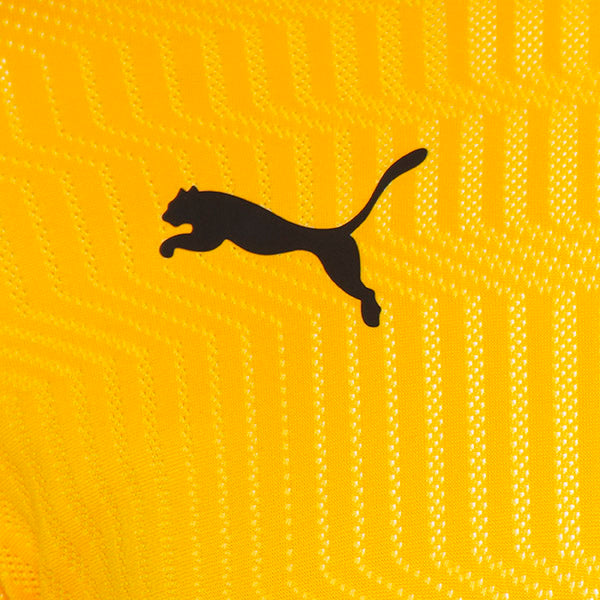 Puma TeamCUP Shirt 21