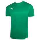Puma Team Liga 25 Short Sleeve Shirt in pepper green