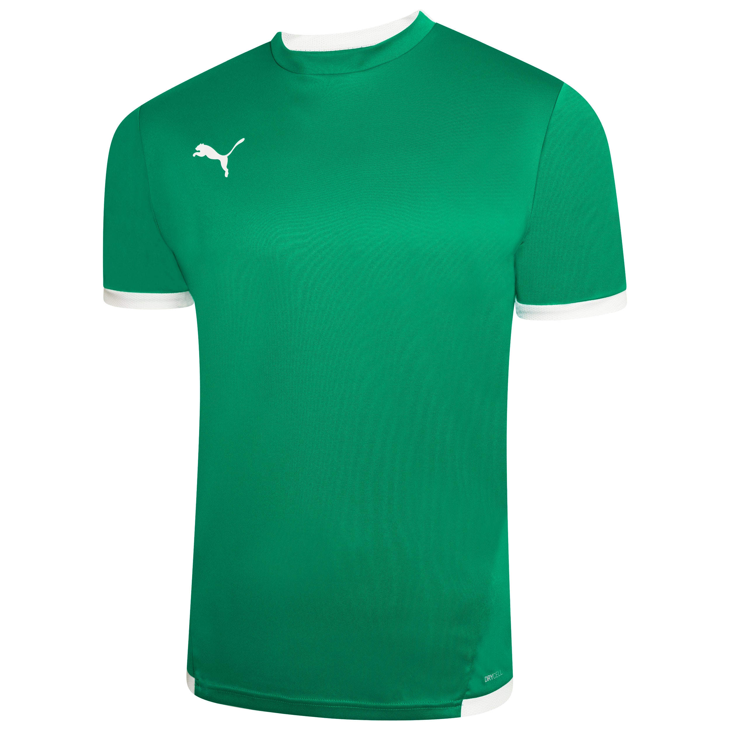 Puma Team Liga 25 Short Sleeve Shirt in pepper green