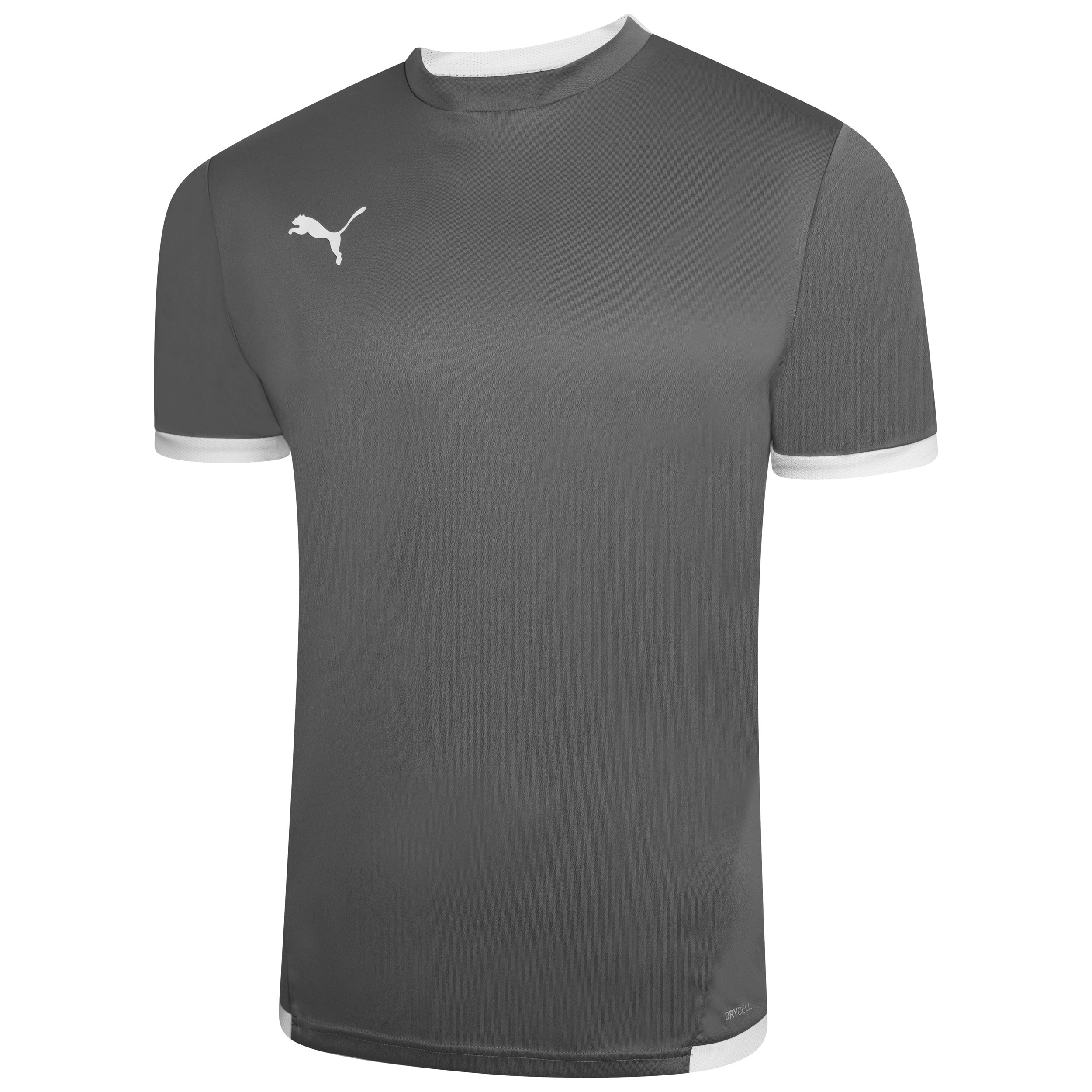 Puma Team Liga 25 Short Sleeve Shirt in smoked pearl