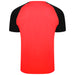 back of Puma Team Liga Pacer Short Sleeve Shirt in red