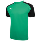 Puma Team Liga Pacer Short Sleeve Shirt in pepper green
