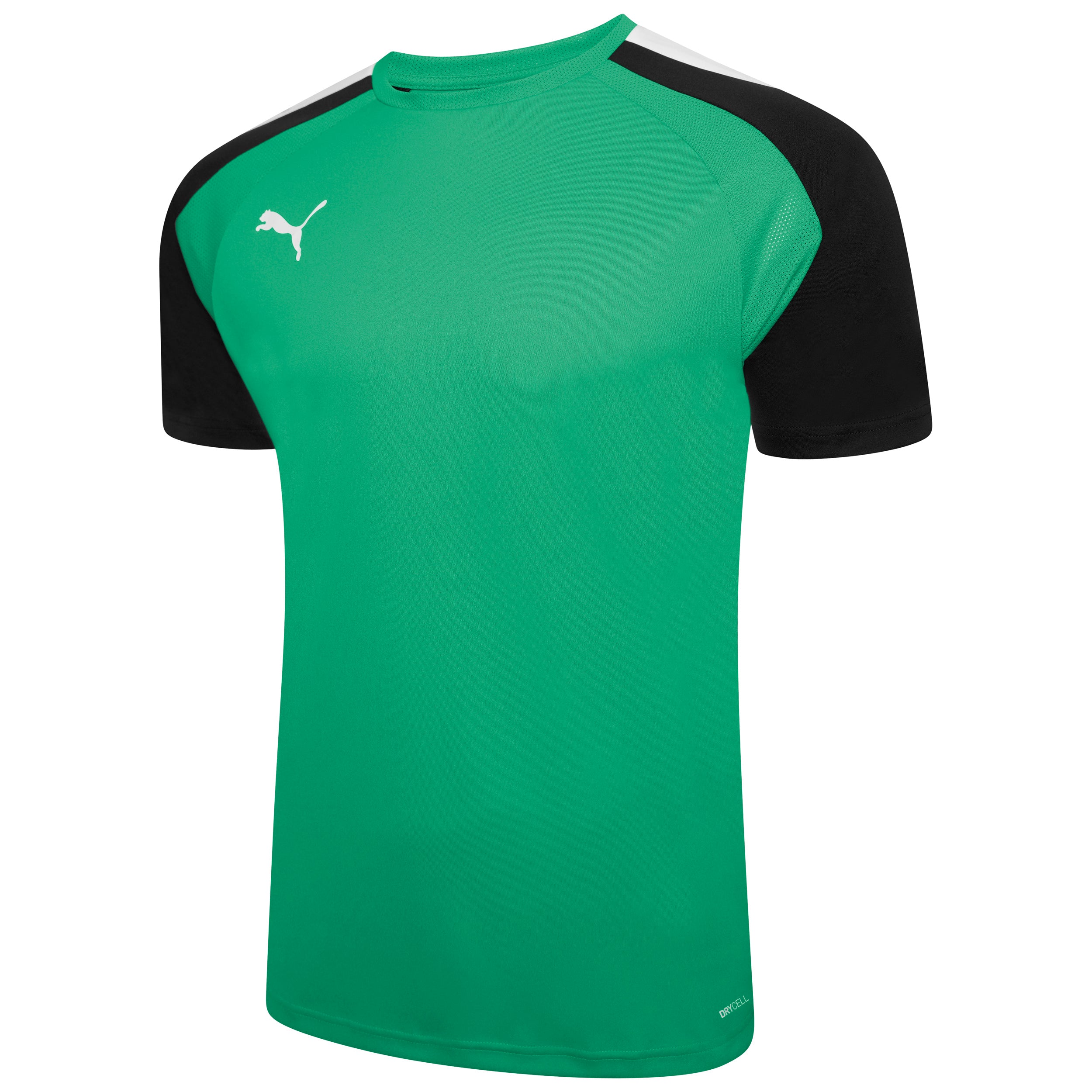 Puma Team Liga Pacer Short Sleeve Shirt in pepper green