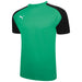Puma Team Liga Pacer Short Sleeve Shirt in pepper green
