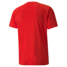 back of Puma Team Liga Striped Short Sleeve Shirt in red and black