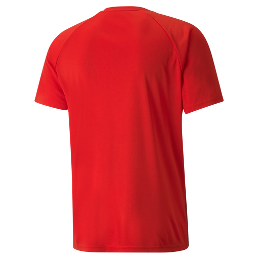 back of Puma Team Liga Striped Short Sleeve Shirt in red and black