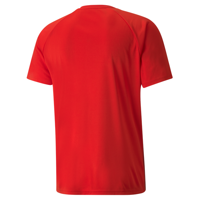 Puma Team Liga Striped Short Sleeve Shirt — KitKing