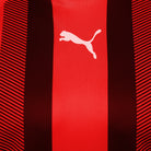 Puma Team Liga Striped Short Sleeve Shirt in red and black