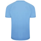 back of Puma Team Liga Striped Short Sleeve Shirt team light blue and cordovan