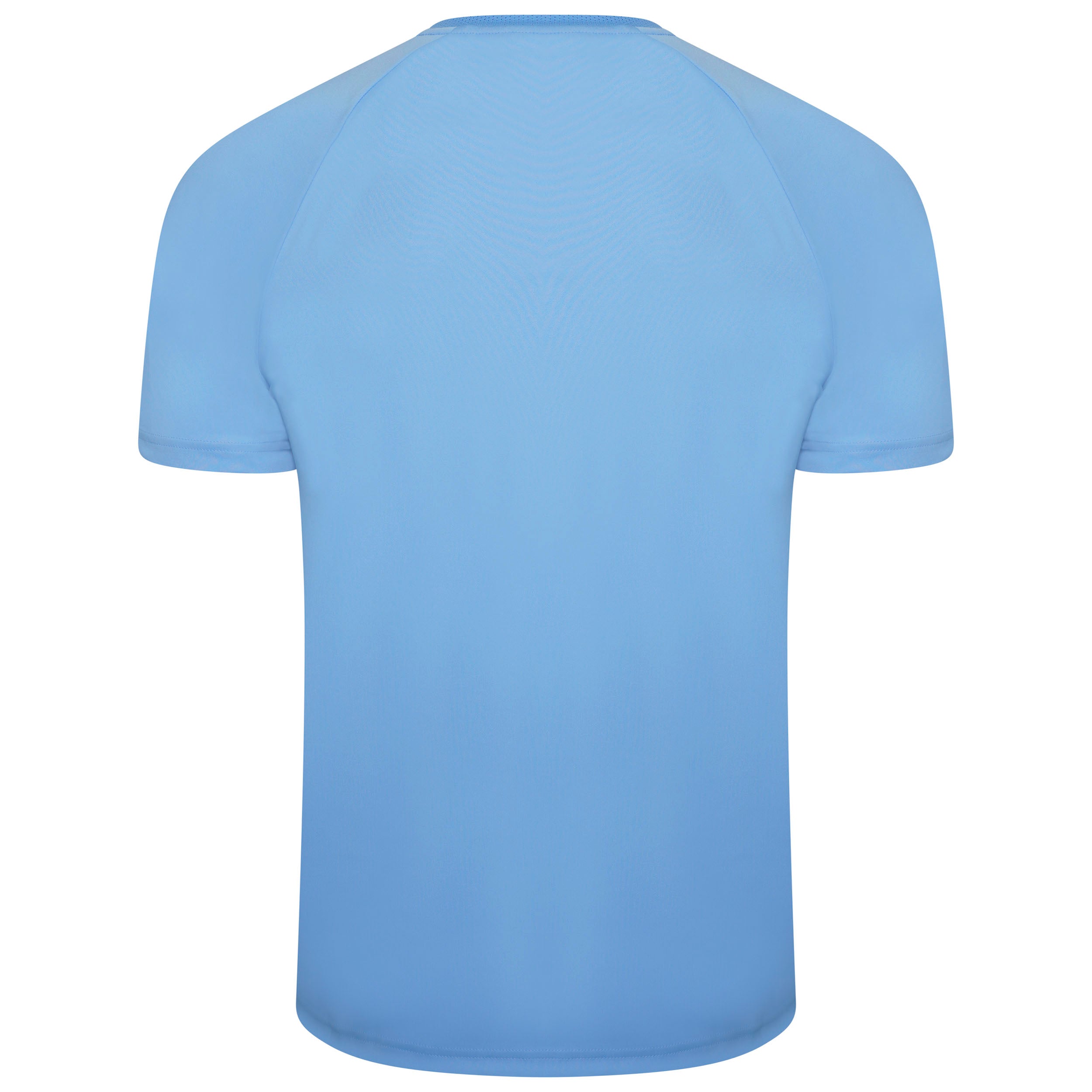 back of Puma Team Liga Striped Short Sleeve Shirt team light blue and cordovan