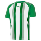 Puma Team Liga Striped Short Sleeve Shirt in pepper green and white