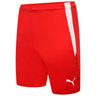 Puma Team Liga 25 Shorts in red