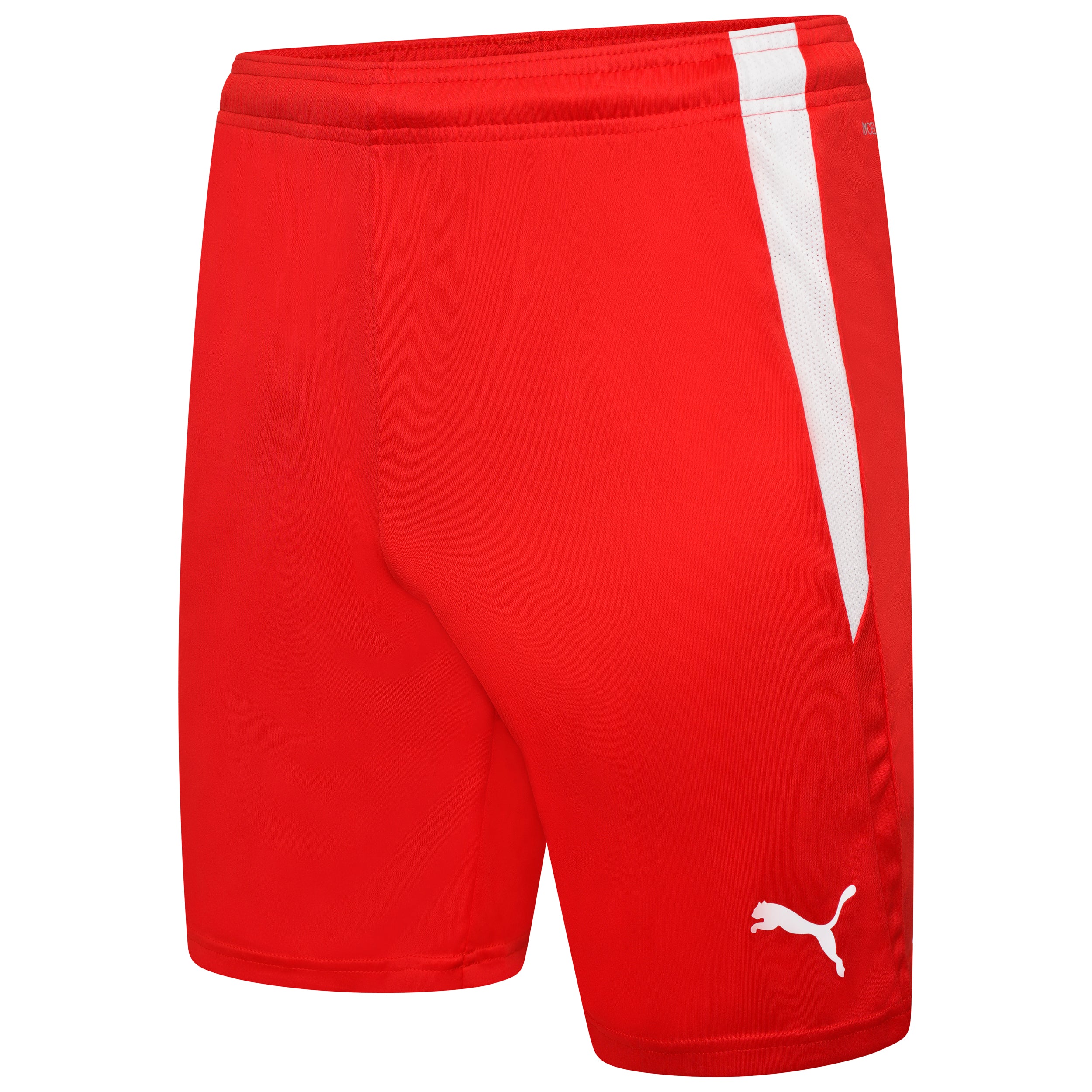 Puma Team Liga 25 Shorts in red