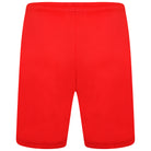 back of Puma Team Liga 25 Shorts in red