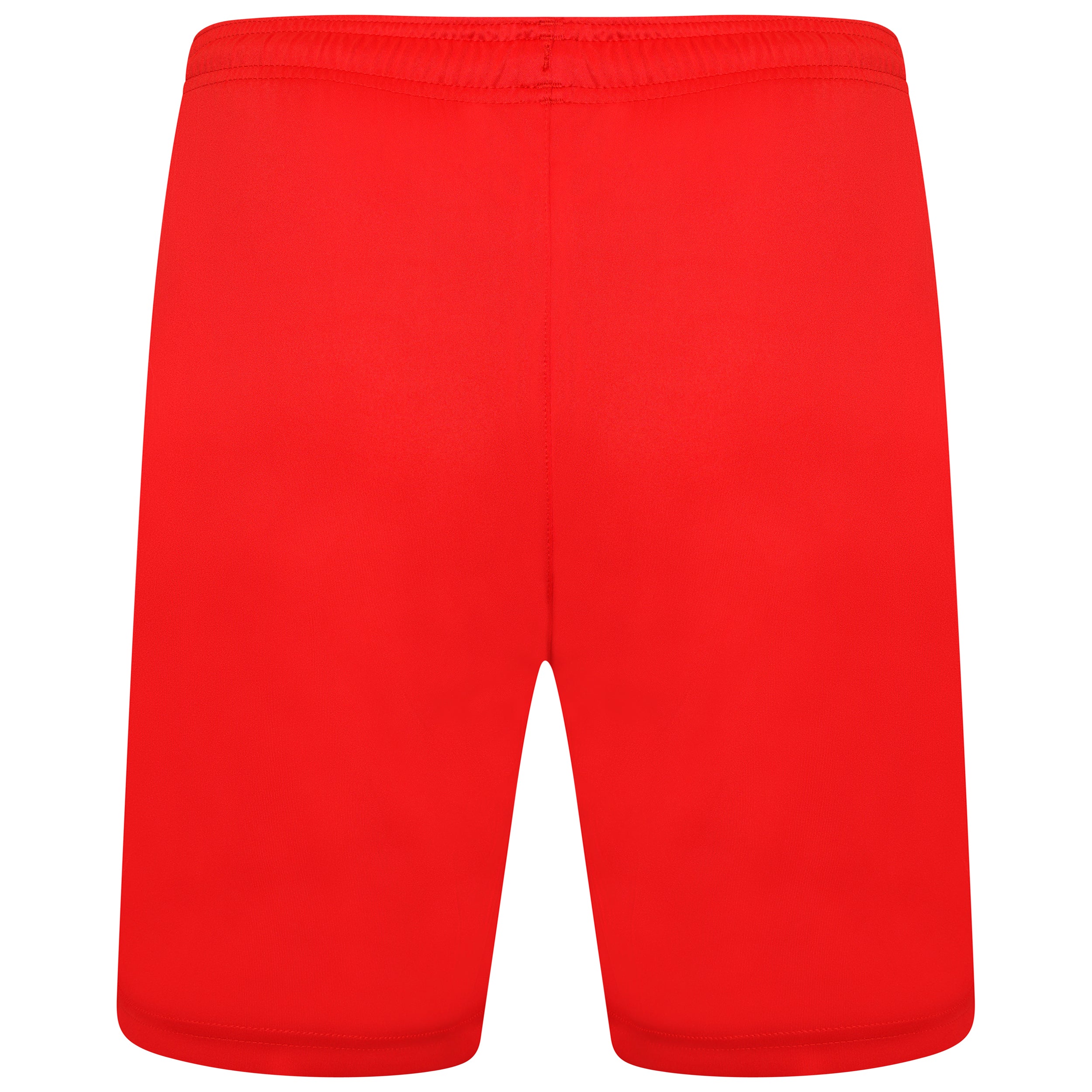 back of Puma Team Liga 25 Shorts in red