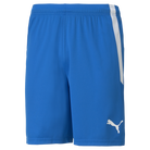 Puma Team Liga 25 Shorts in electric blue lemonade