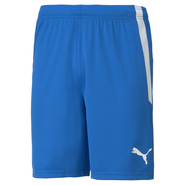 Puma Team Liga 25 Shorts in electric blue lemonade