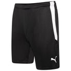 Puma Team Liga 25 Shorts in black