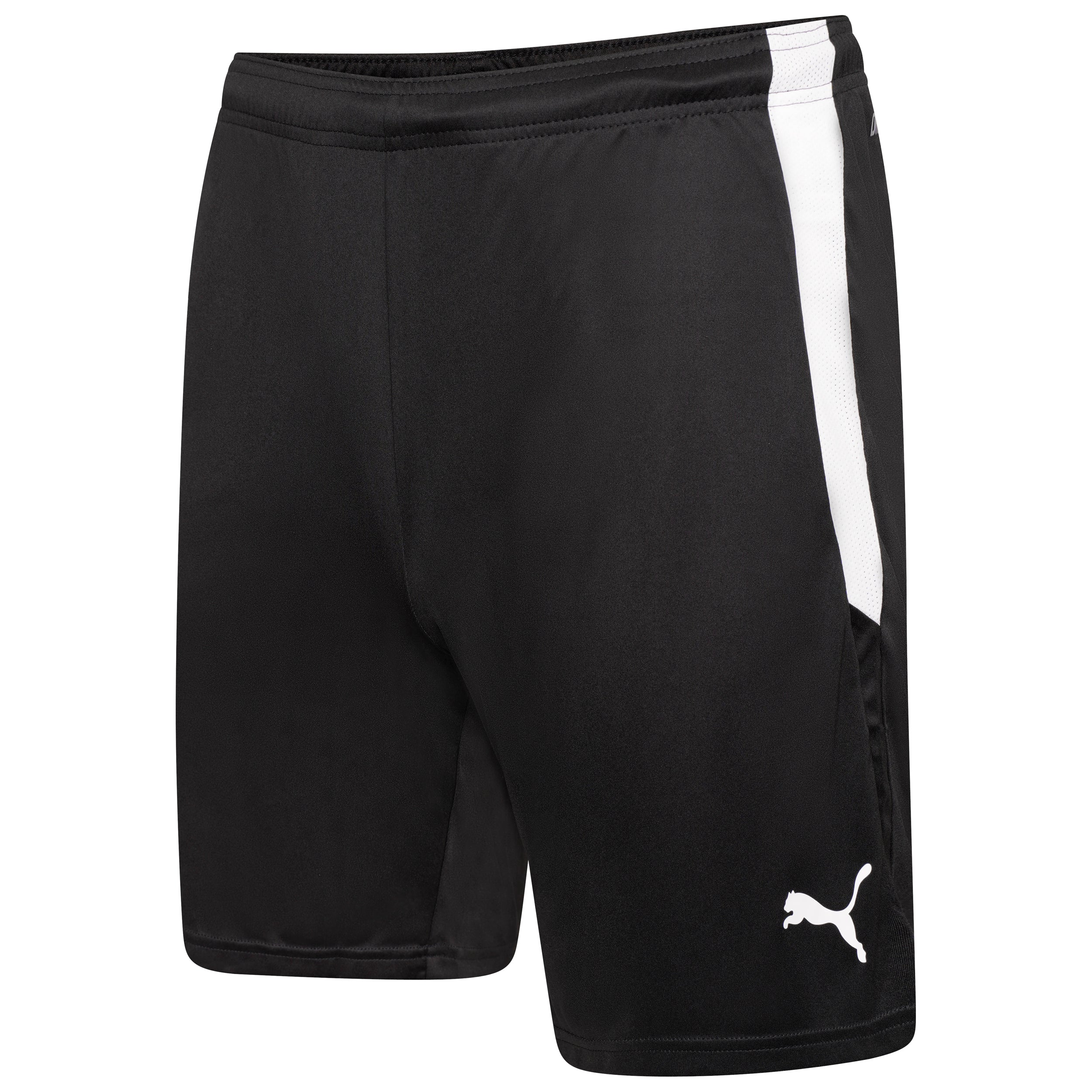 Puma Team Liga 25 Shorts in black