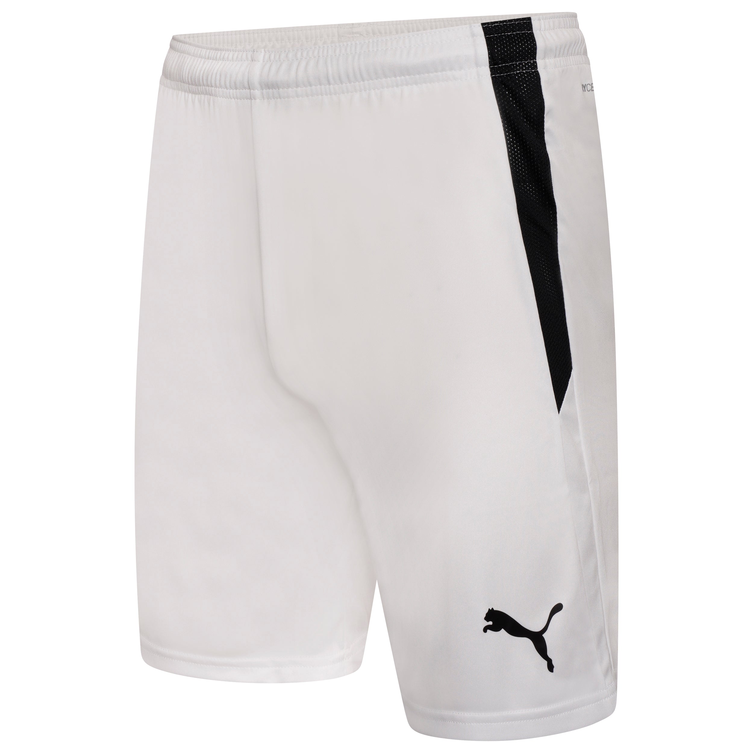 Puma Team Liga 25 Shorts in white