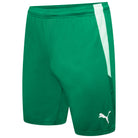 Puma Team Liga 25 Shorts in pepper green