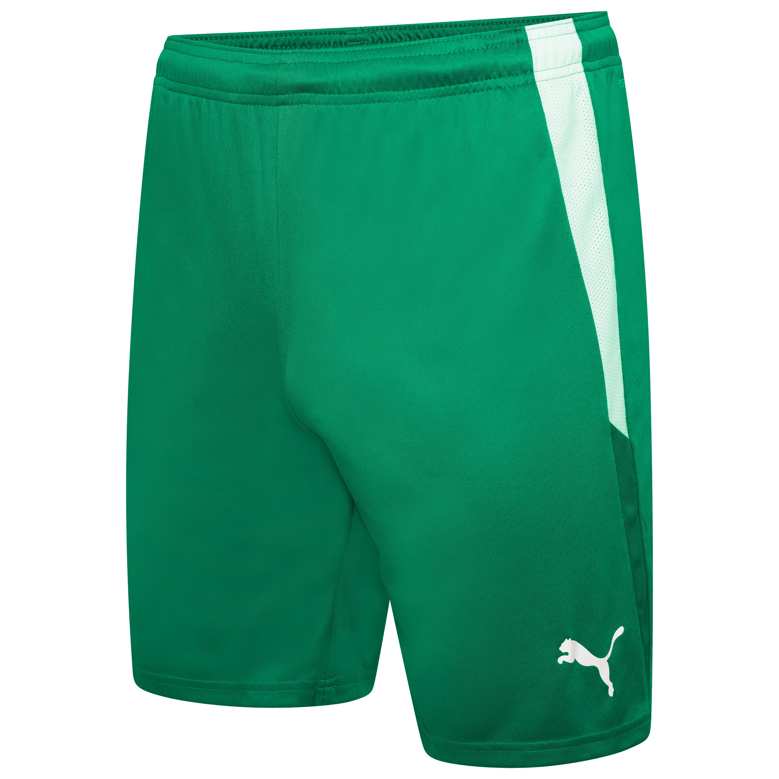 Puma Team Liga 25 Shorts in pepper green