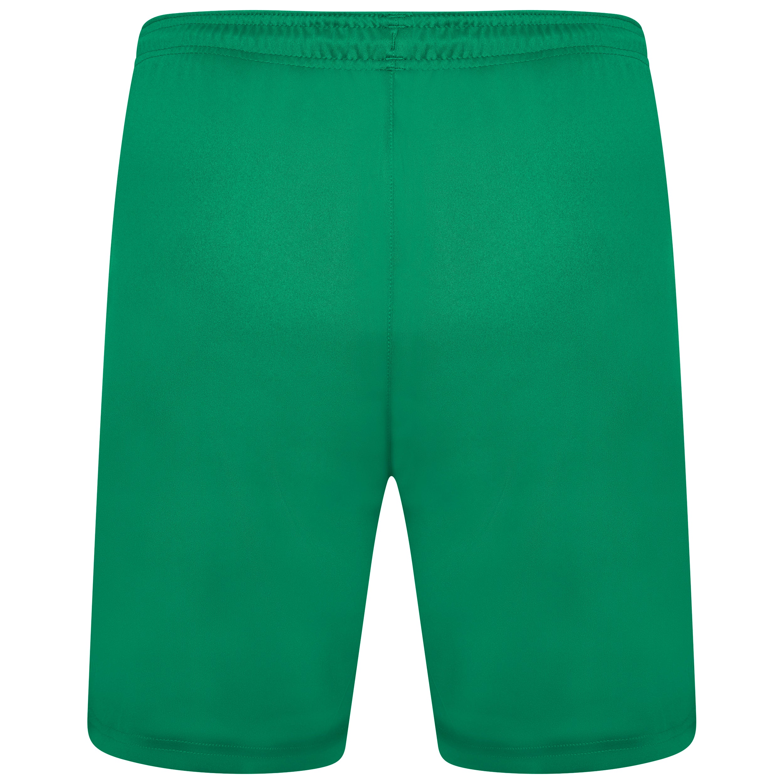 back of Puma Team Liga 25 Shorts in pepper green