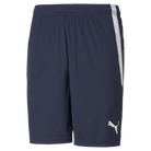 Puma Team Liga 25 Shorts in peacoat