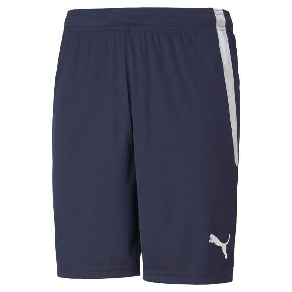 Puma Team Liga 25 Shorts in peacoat