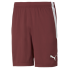 Puma Team Liga 25 Shorts in cordovan