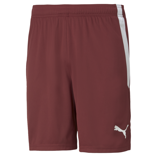 Puma Team Liga 25 Shorts in cordovan