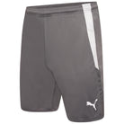 Puma Team Liga 25 Shorts in smoked pearl