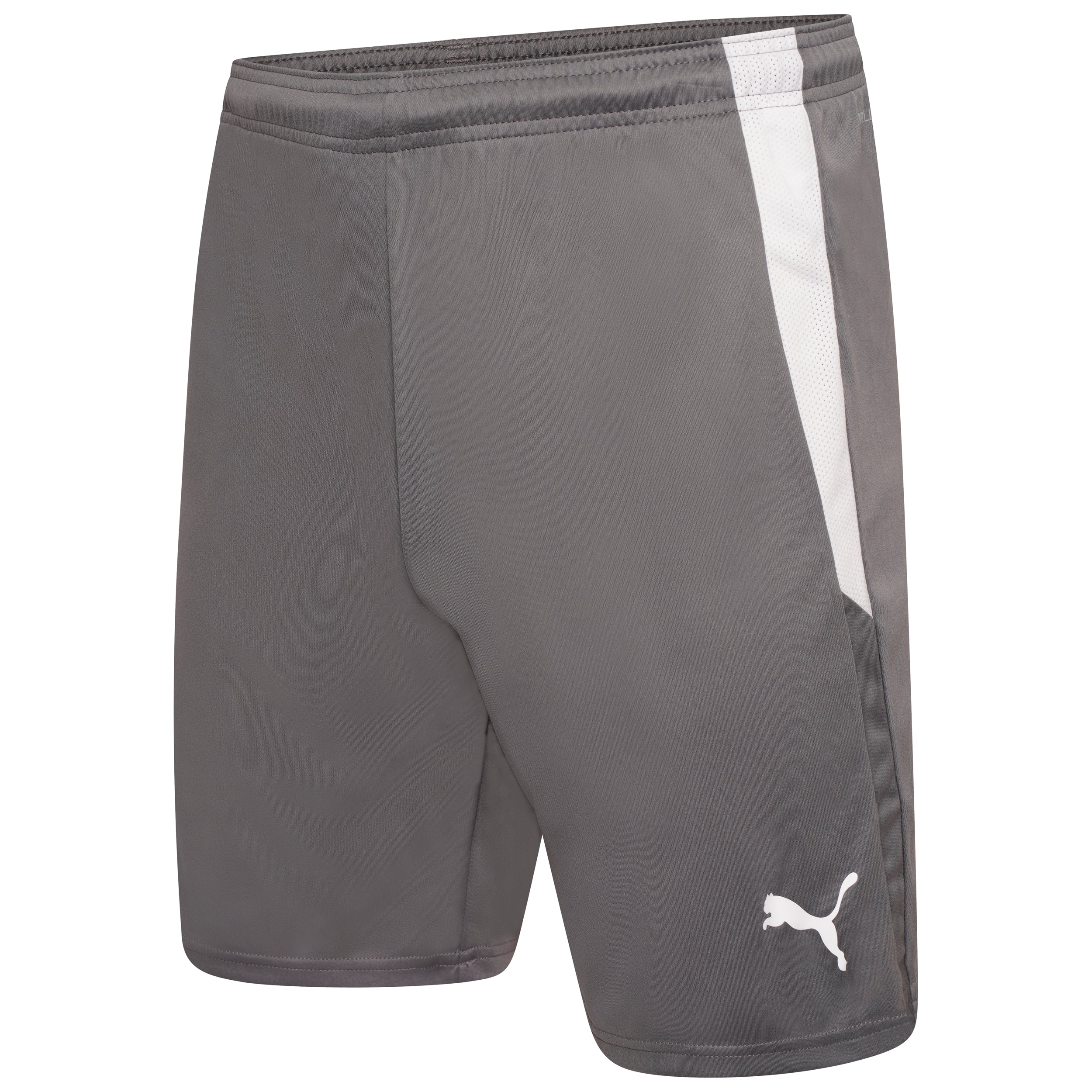 Puma Team Liga 25 Shorts in smoked pearl