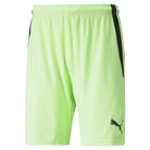 Puma Team Liga 25 Shorts in fizzy lime
