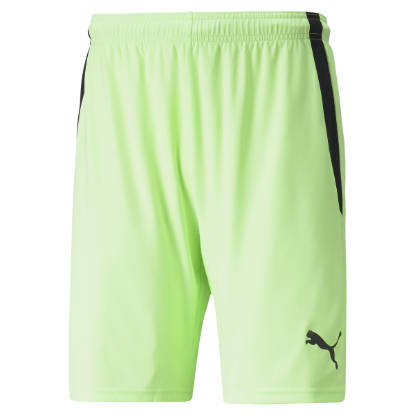 Puma Team Liga 25 Shorts in fizzy lime