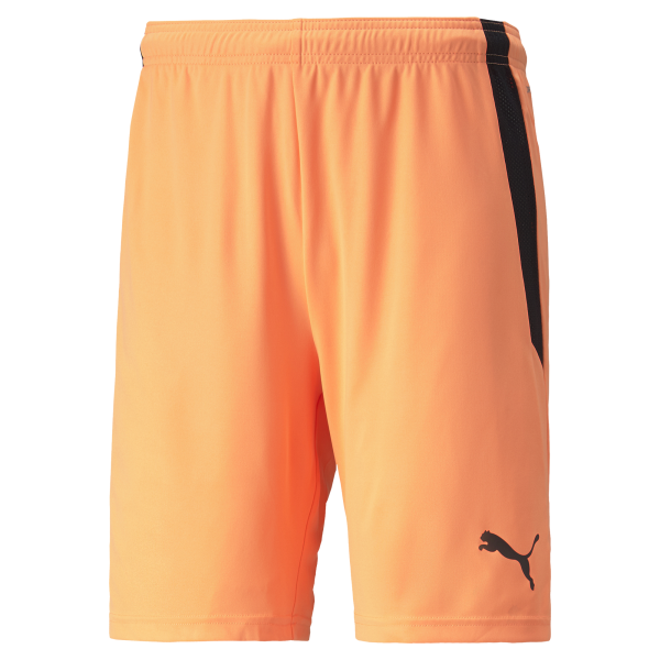 Puma Team Liga 25 Shorts in neon citrus