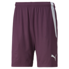 Puma Team Liga 25 Shorts in grape wine