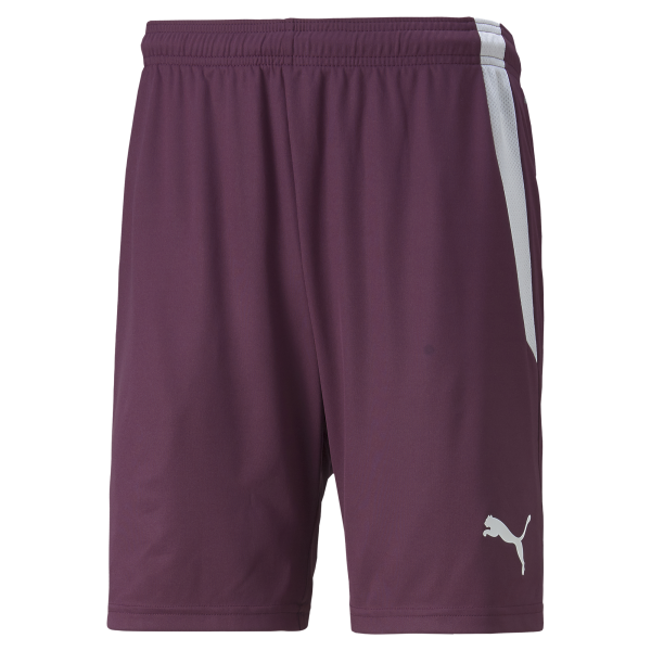 Puma Team Liga 25 Shorts in grape wine