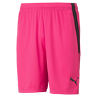 Puma Team Liga 25 Shorts in fluo pink