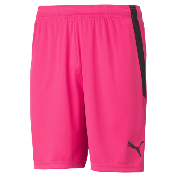 Puma Team Liga 25 Shorts in fluo pink