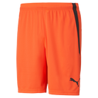Puma Team Liga 25 Shorts in nrgy red