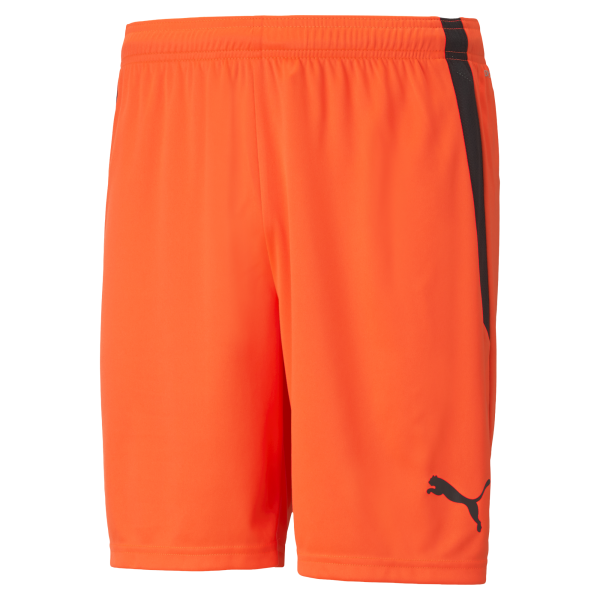 Puma Team Liga 25 Shorts in nrgy red